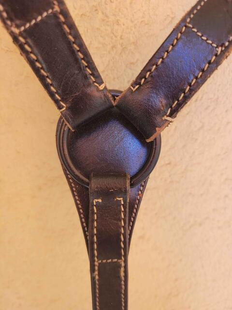 collier de chasse espagnole (garocha)