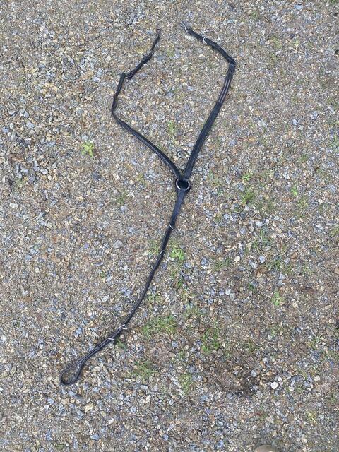 Collier de chasse