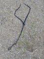 Collier de chasse