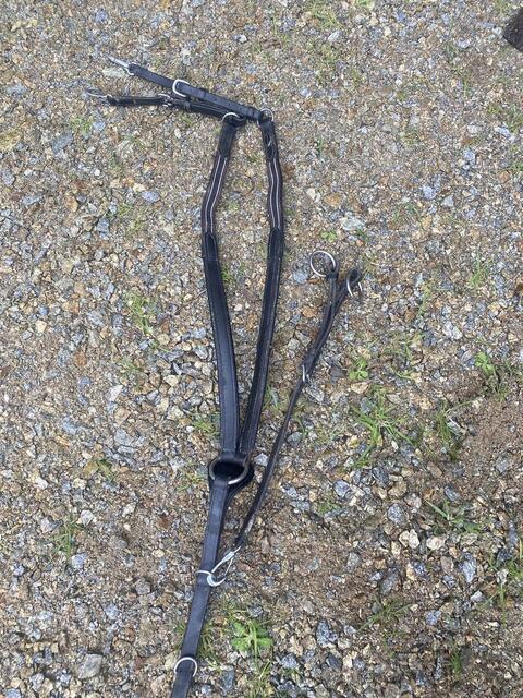 Collier de chasse