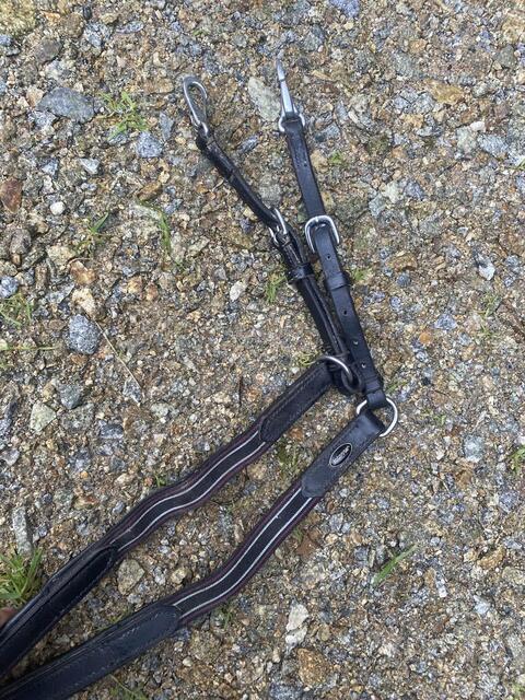 Collier de chasse