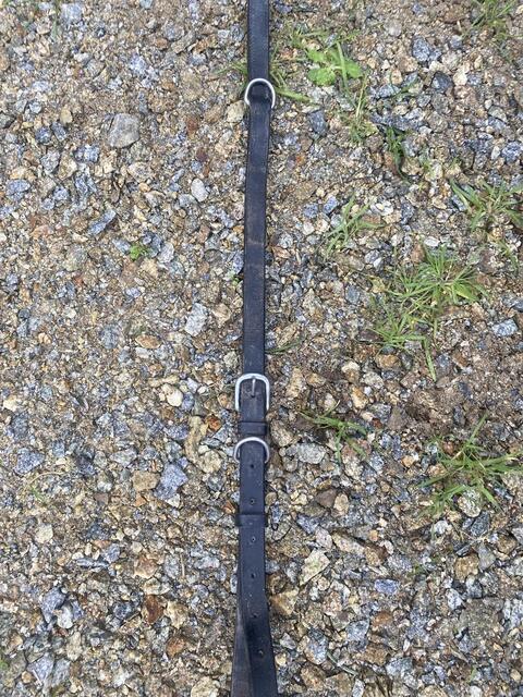 Collier de chasse