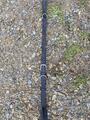 Collier de chasse