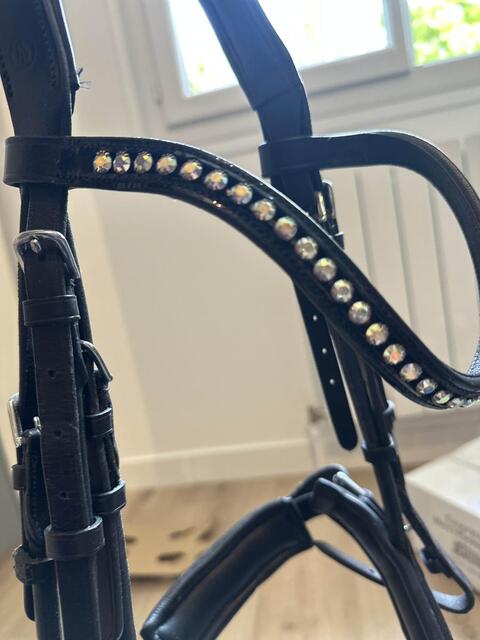Filet BR