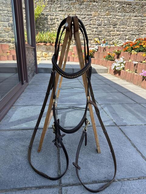 Bridon cheval sans mors