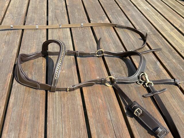 Bridon cheval sans mors