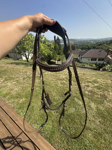 Bridon cheval sans mors