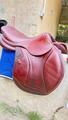 Selle Cwd