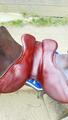 Selle Cwd