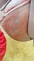 Selle Cwd
