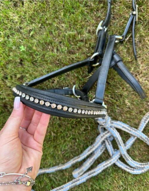 licol en cuir noir à strass