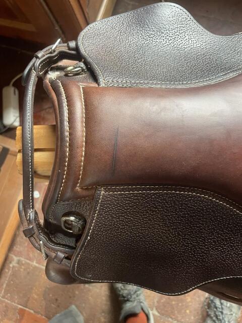 Selle Guy Cantin
