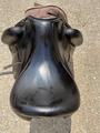 selle Forestier Aachen