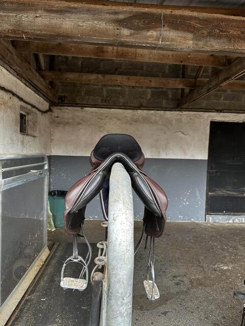 Selle esta saddle