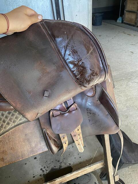 selle henrie de rivel 16,5