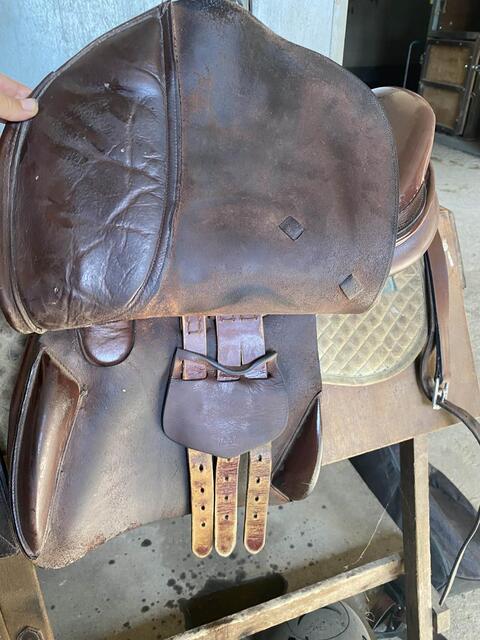 selle henrie de rivel 16,5
