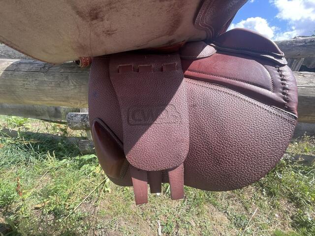 Selle CWD