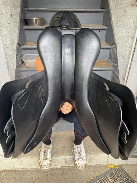 Selle mixte noire