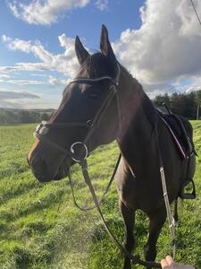 filet equipe