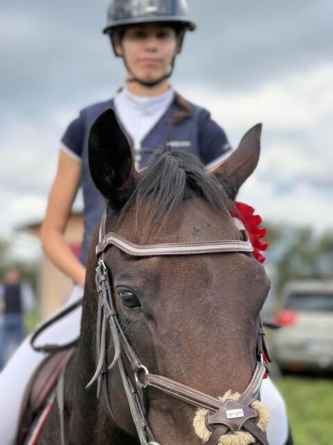 filet equipe