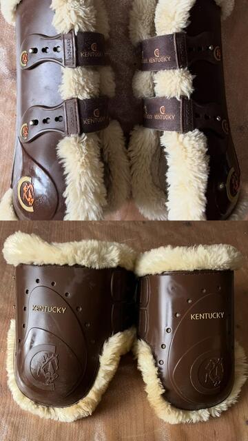 Ensemble protections Kentucky