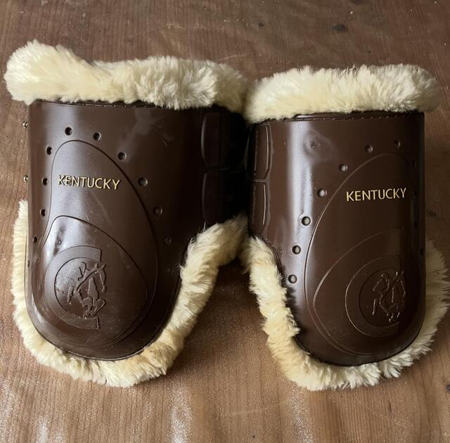 Ensemble protections Kentucky