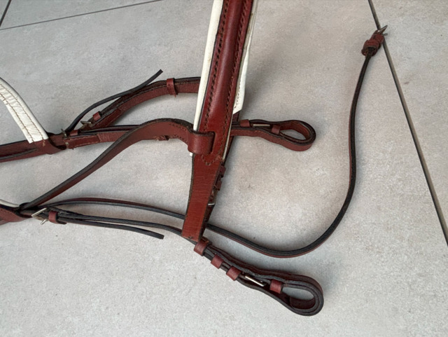 Filet cuir pour Double poney/Petit cheval