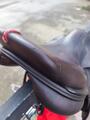 À VENDRE : Selle Équipe Évolution Spéciale – 17,5 pouces