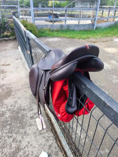 À VENDRE : Selle Équipe Évolution Spéciale – 17,5 pouces