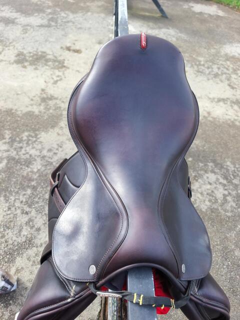 À VENDRE : Selle Équipe Évolution Spéciale – 17,5 pouces