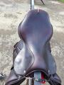À VENDRE : Selle Équipe Évolution Spéciale – 17,5 pouces