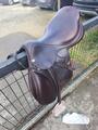 À VENDRE : Selle Équipe Évolution Spéciale – 17,5 pouces