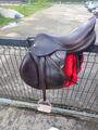 À VENDRE : Selle Équipe Évolution Spéciale – 17,5 pouces