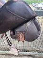 À VENDRE : Selle Équipe Évolution Spéciale – 17,5 pouces