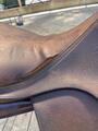 Selle Antarès