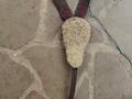 Collier de chasse