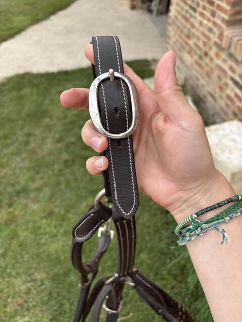 Licol en cuir et corde