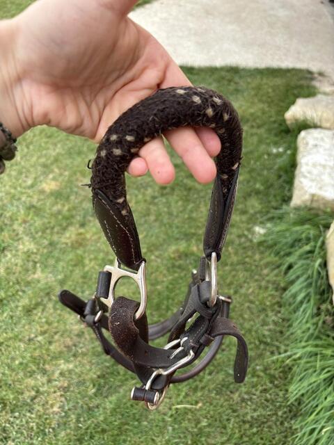 Licol en cuir et corde