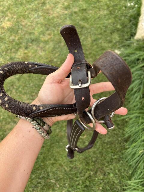 Licol en cuir et corde