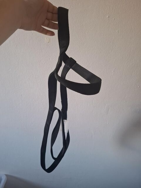 Licol de pré (sans boucle / à scratch)