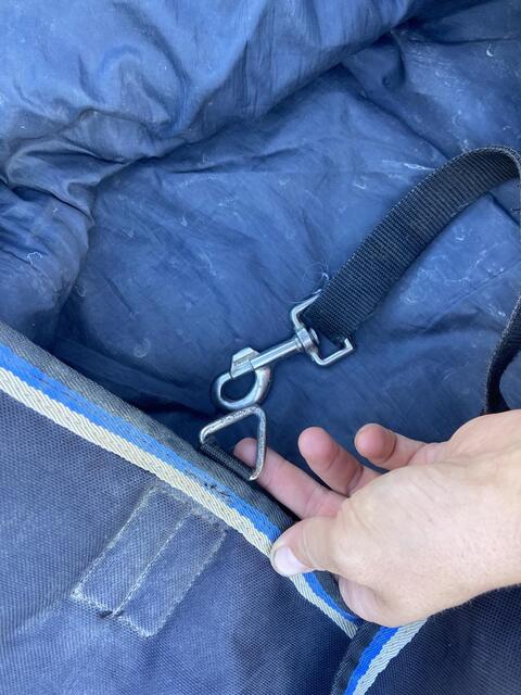 Couverture 250g Horseware
