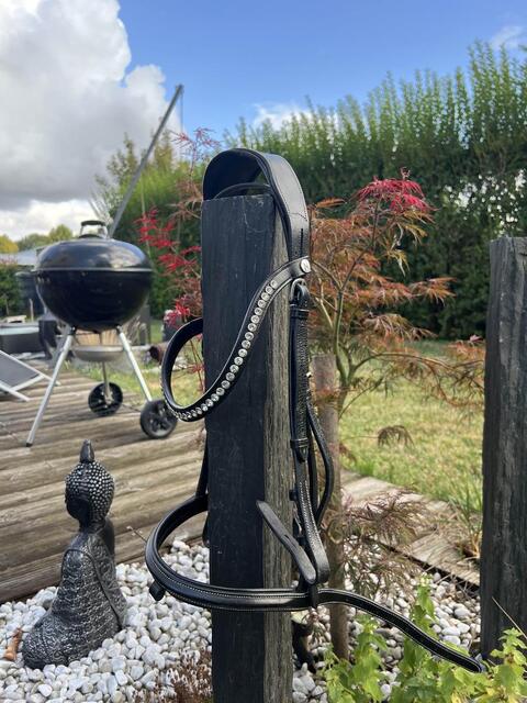 bridon noir