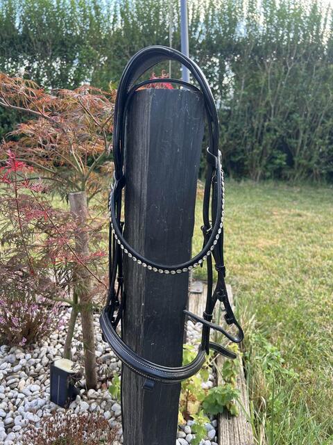 bridon noir