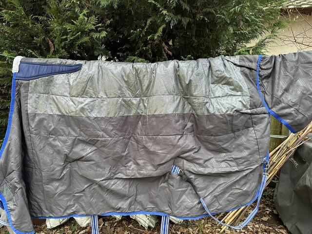 Couverture Weatherbeeta ComFiTec Premier Thinsulate Standard 350g