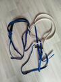 Bridons et renes PVC