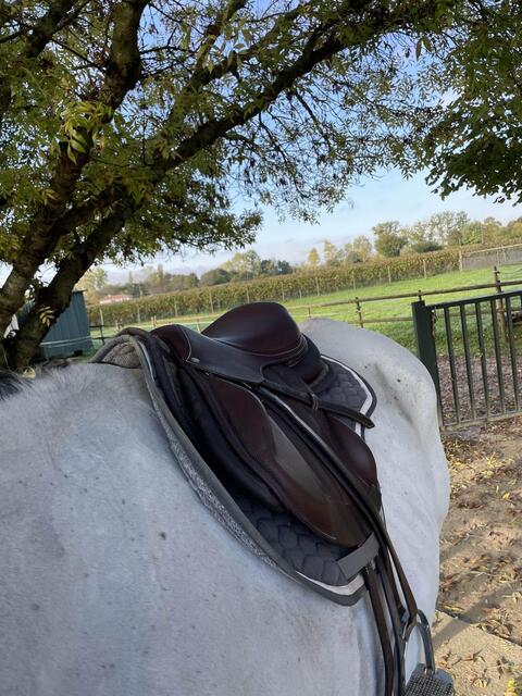Selle Forestier Boekelo