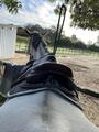 Selle Forestier Boekelo