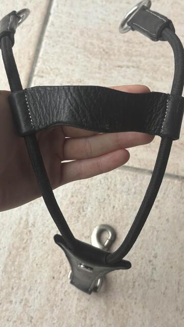 Martingale élastique noire