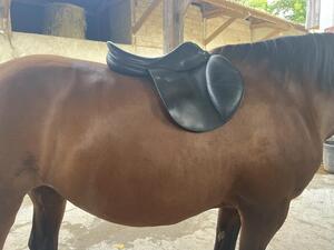 Selle childeric noire