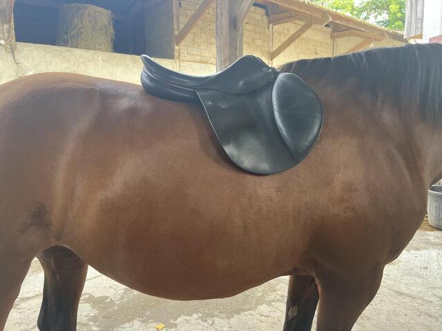 Selle childeric noire